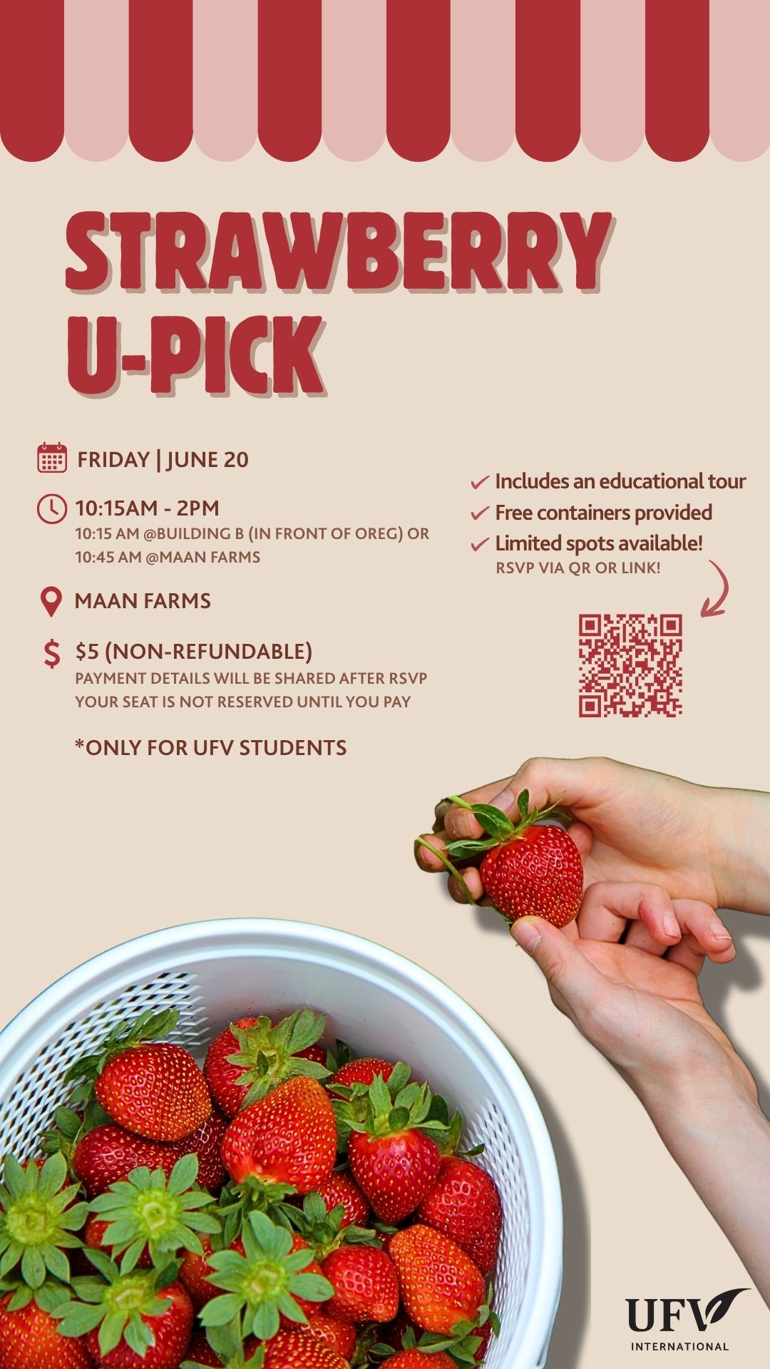 Summer Strawberry Picking